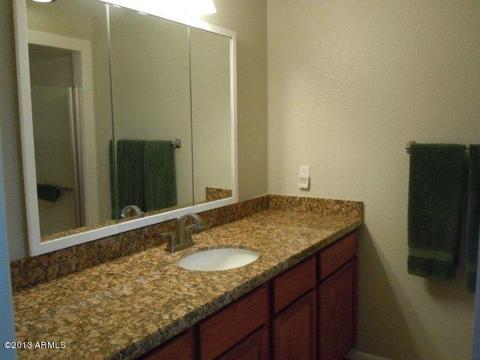 4916 E Flossmoor Ave, Mesa, AZ 85206 photo 9