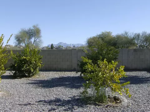 537 S 83rd Way, Mesa, AZ 85208 photo 18
