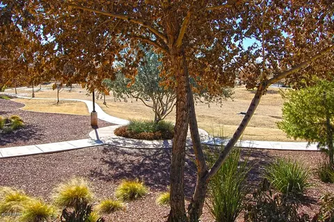 11021 E Storia Ave, Mesa, AZ 85212 photo 23
