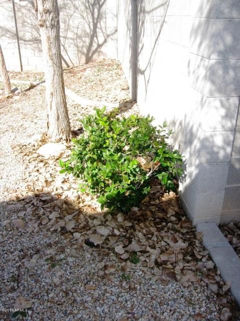2498 E Gila Ct, Gilbert, AZ 85296 photo 48