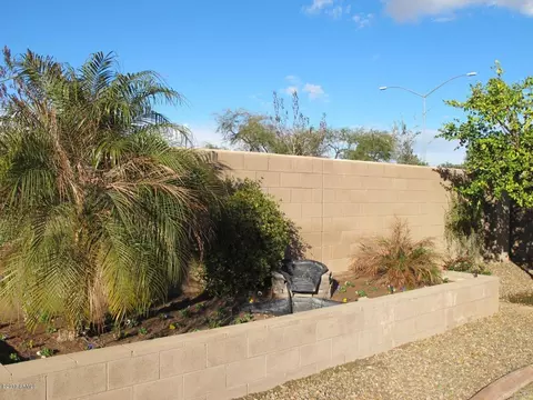 9742 E Knowles Ave, Mesa, AZ 85209 photo 17