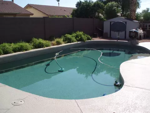 1243 E Harvard Ave, Gilbert, AZ 85234 photo 3