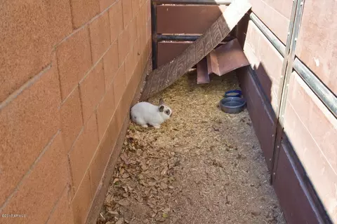 1605 E Fairfield St, Mesa, AZ 85203 photo 57