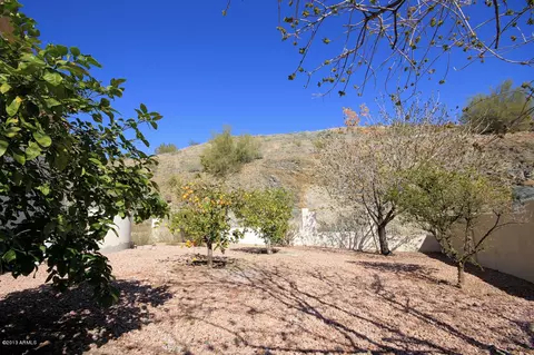 824 E Cathedral Rock Dr, Phoenix, AZ 85048 photo 58