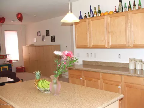 3309 E Lark Ct, Gilbert, AZ 85297 photo 7