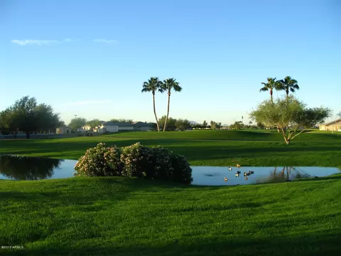 11432 E Natal Ave, Mesa, AZ 85209 photo 53