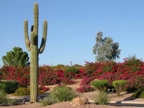 11432 E Natal Ave, Mesa, AZ 85209 photo 49