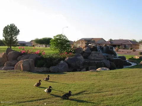 11432 E Natal Ave, Mesa, AZ 85209 photo 48