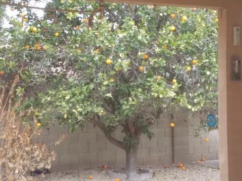 3220 E Hiddenview Dr, Phoenix, AZ 85048 photo 18