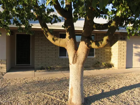 4638 E Joan De Arc Ave, Phoenix, AZ 85032 photo 6