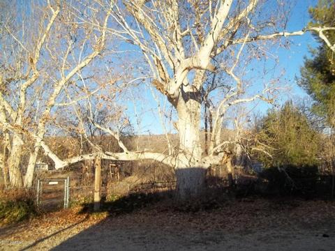 397 S Elm Dr, Payson, AZ 85541 photo 3