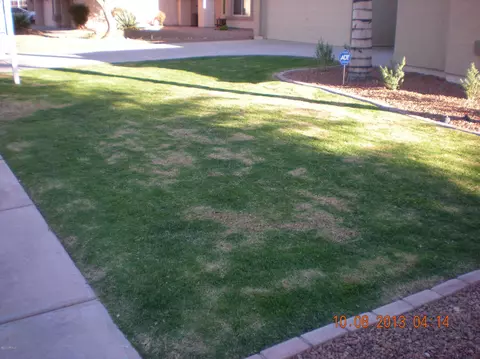 3563 E Wildhorse Dr, Gilbert, AZ 85297 photo 49
