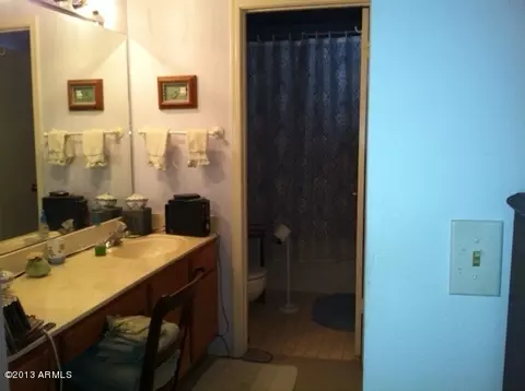 4725 E Brown Rd #22, Mesa, AZ 85205 photo 9