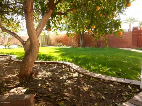 329 E Fairmont Dr, Tempe, AZ 85282 photo 34