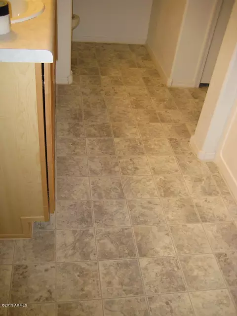 3685 E Orchid Ln E, Gilbert, AZ 85296 photo 21