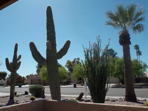2106 E Concorda Dr, Tempe, AZ 85282 photo 39