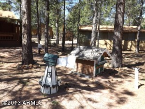 2874 Big Pine Rd, Overgaard, AZ 85933 photo 3