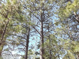 2874 Big Pine Rd, Overgaard, AZ 85933 photo 4