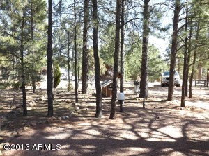 2874 Big Pine Rd, Overgaard, AZ 85933 photo 10