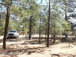 2874 Big Pine Rd, Overgaard, AZ 85933 photo 5