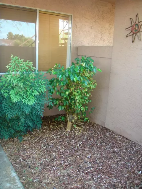 4050 E Cactus Rd #113, Phoenix, AZ 85032 photo 8
