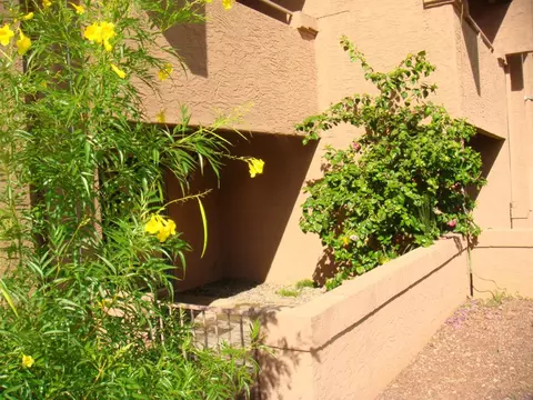4050 E Cactus Rd #113, Phoenix, AZ 85032 photo 7