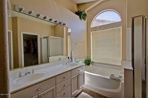 326 S Bronco Ln, Gilbert, AZ 85233 photo 19