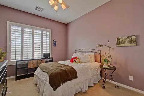 4702 E Decatur St, Mesa, AZ 85205 photo 41