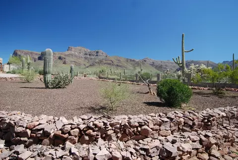 925 S Cottontail Ct, Apache Junction, AZ 85119 photo 48
