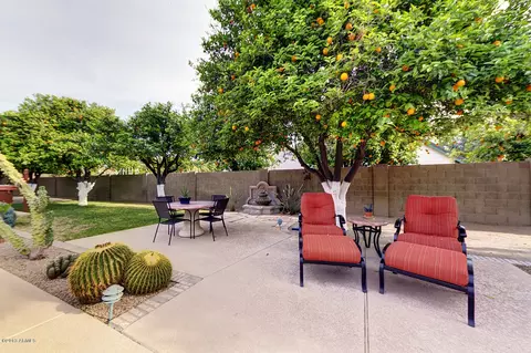 1825 E Laurel St, Mesa, AZ 85203 photo 14