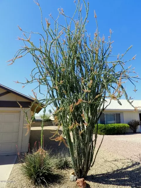 4607 E Walatowa St, Phoenix, AZ 85044 photo 3