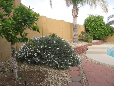10312 E Crescent Ave, Mesa, AZ 85208 photo 64