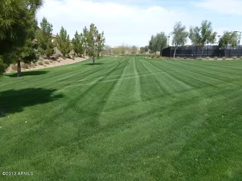943 E Buckingham Ave, Gilbert, AZ 85297 photo 20