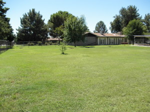 222 E Harrison St, Gilbert, AZ 85295 photo 6