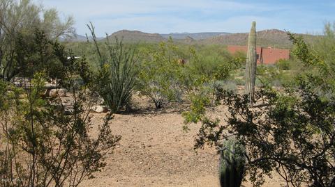 128 E Ridgecrest Rd, Phoenix, AZ 85086 photo 15