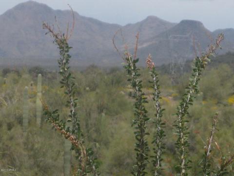 128 E Ridgecrest Rd, Phoenix, AZ 85086 photo 19