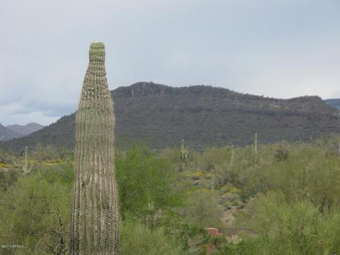 128 E Ridgecrest Rd, Phoenix, AZ 85086 photo 17