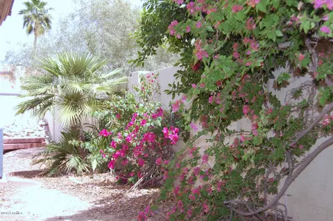 4338 E Vaughn Dr, Phoenix, AZ 85044 photo 22
