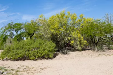 3915 E Mountain View Rd, Phoenix, AZ 85028 photo 67