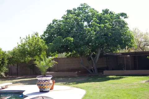 3915 E Mountain View Rd, Phoenix, AZ 85028 photo 52