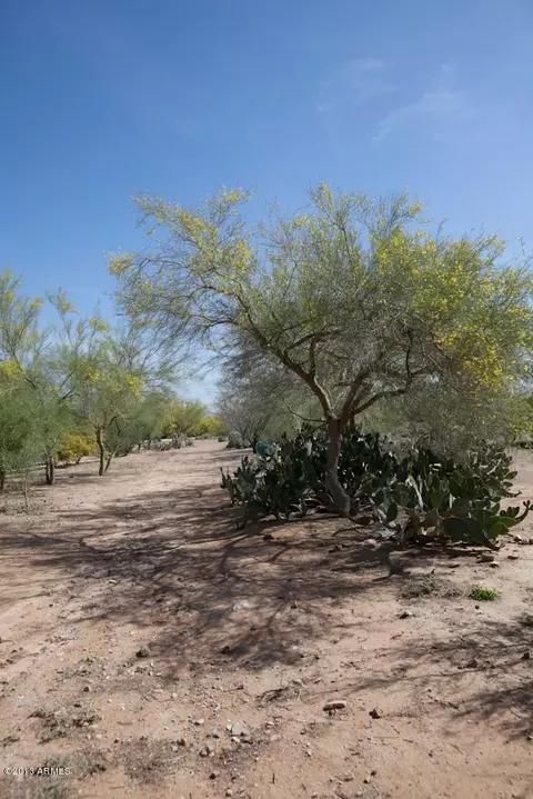 3915 E Mountain View Rd, Phoenix, AZ 85028 photo 66