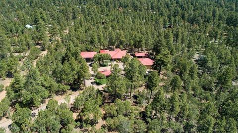 2863 Lejo Rd, Overgaard, AZ 85933 photo 4