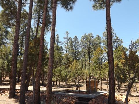 2863 Lejo Rd, Overgaard, AZ 85933 photo 65
