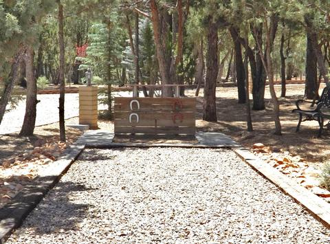 2863 Lejo Rd, Overgaard, AZ 85933 photo 25