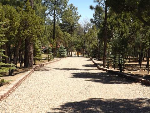 2863 Lejo Rd, Overgaard, AZ 85933 photo 61
