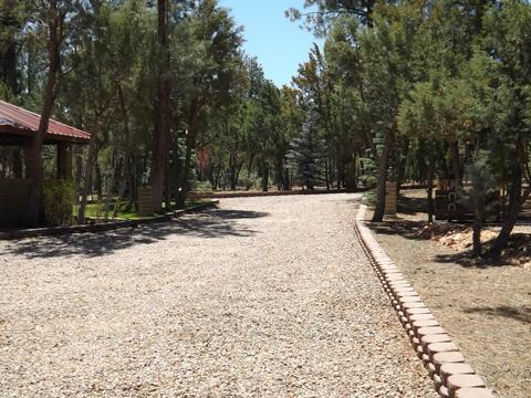 2863 Lejo Rd, Overgaard, AZ 85933 photo 60