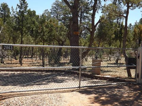 2863 Lejo Rd, Overgaard, AZ 85933 photo 58