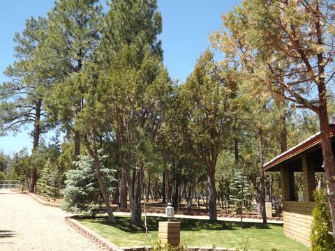 2863 Lejo Rd, Overgaard, AZ 85933 photo 68