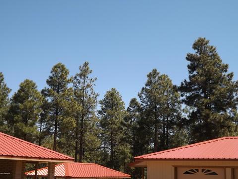2863 Lejo Rd, Overgaard, AZ 85933 photo 63