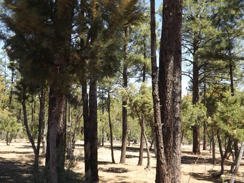 2863 Lejo Rd, Overgaard, AZ 85933 photo 71